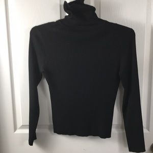 Silk Turtleneck